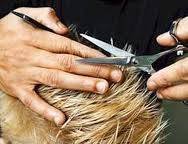 Men's Body Waxing, Trimming, Manscaping, Brazilian, Haircuts (Santa Clarita, Sylmar, San Fernando)