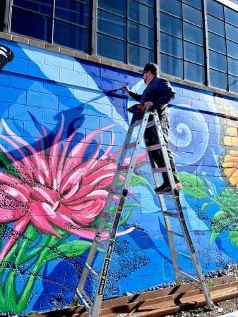 Artist Muralist Residential &amp; Commercial Mural Services (Hollywood)