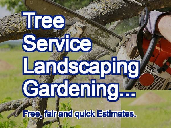 PRO Tree Specialist, Landscaping, more. Estimates. (Los Angeles, West, South. Orange County, more.)