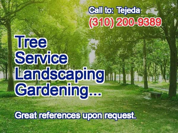 TEJEDA's Tree Specialist, Landscaping, more. References. (Los Angeles, West, South. Orange County, more.)