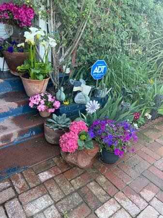 SPRINKLER REPAIR FREE ESTIMATES (All Antelope Valley. Acton, Leona Valley, Lake, Hughes)