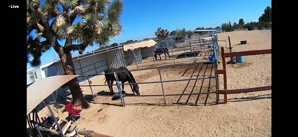 Horse Boarding (Palmdale)