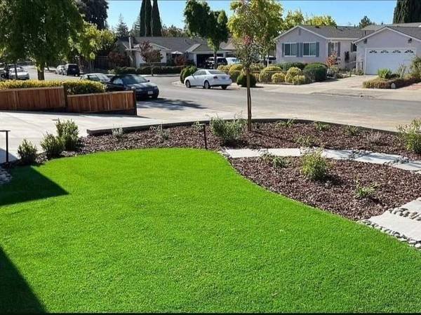 Sal's Landscaping Services and Maintenance (Van Nuys)