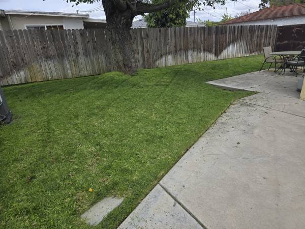 JORGE'S LAWN &amp; Gardening Maintenance. Sprinklers Repair Artificial Grass (Long Beach &amp; Surrounding. 562-221-5008.)