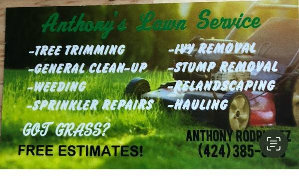 Lawn/Gardening Maintenance Cleanups•Stump Removal Weeding Landscaping (Torrance, Redondo Beach, Manhattan Beach, Palos Verdes)
