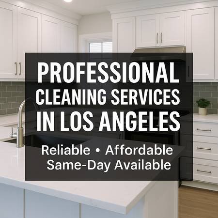 Professional Cleaning Services in Los Angeles (Los Angeles / San Fernando Valley)