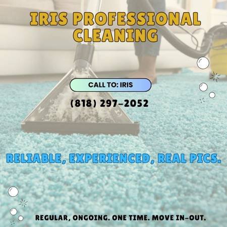 IA Professional Cleaning: Commercial and Residential, Dependable (San Fernando Valley, Los Angeles, and More)