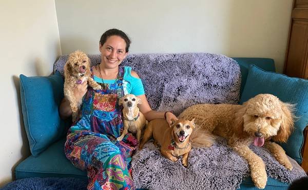 Dog Boarding, Dog Sitting Pet Sitter and Doggy Daycare in Woodland Hills (Woodland Hills)