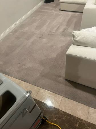 Pet Made a Mess? Carpet, Sofa, Car Cleaning 323,310,562,626 (Los Angeles)