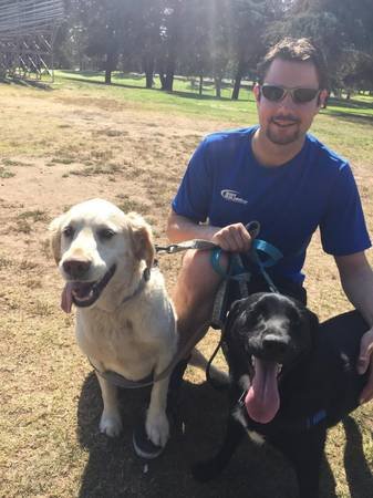 Dog and Cat House Pet Sitter (Los Angeles/Flexible)