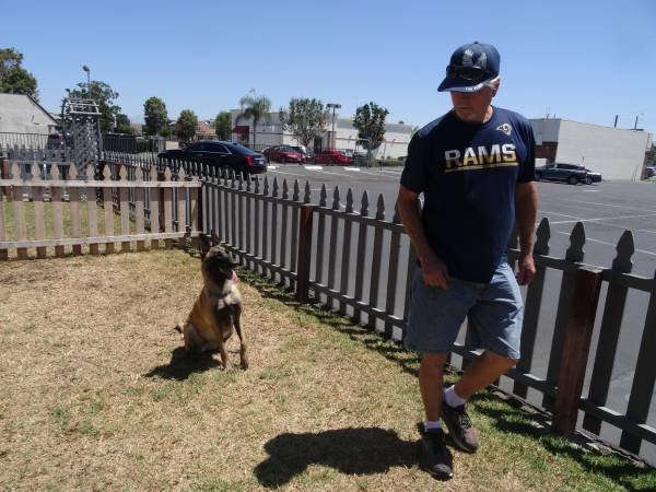 Dog Training, 1 on 1 Coaching, Aggression-Rehab-Service Dog Training (Cerritos)