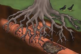 Got a Bad Sewer? We Offer "No-Dig" Systems to Save Time and Money (South Pasadena, CA)