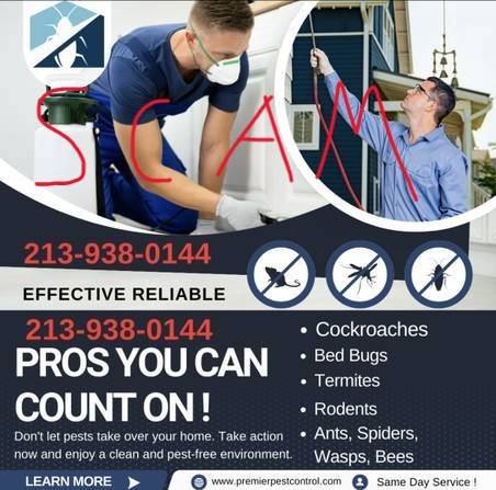 Scam Alert! Pest Control for Rodents, Cockroaches, and Bed Bugs