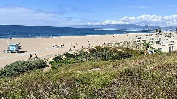 $1,500 / 3br - 1550ft2 - Furnished Room with Shared Bath Available in Playa del Rey (Playa del Rey)