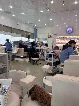 Nail Technician and Receptionist Needed for Nail Salon in Beverly Hills, Los Angeles