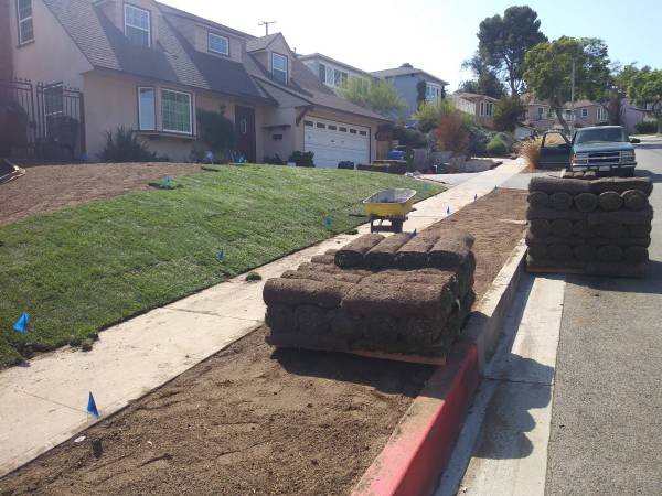 Landscape &amp; Tree Service (L.A, L.B, &amp; Surrounding Areas)