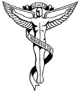 Bilingual Chiropractic Assistant for Back Office – No Experience Required (South Los Angeles)