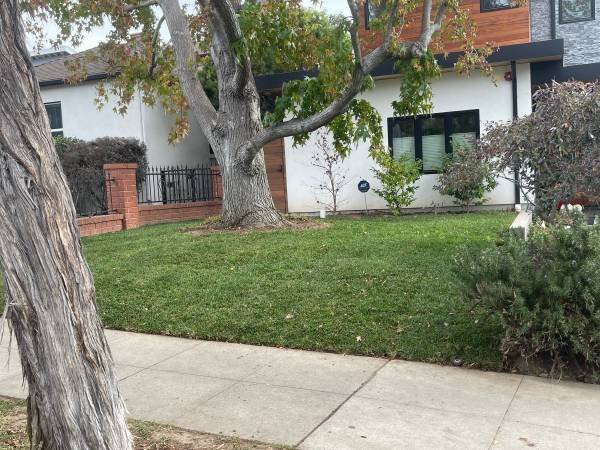 Garden Lawn Care (Venice)
