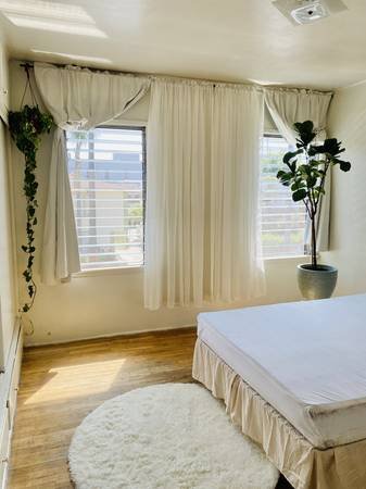 $1,250 Furnished Private Bedroom in Central Hollywood. Sunny + Spacious (Hollywood)