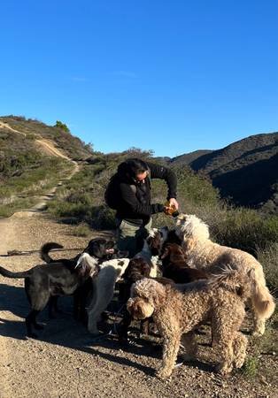 Loving Dog Walking, Hiking and Training Services - Burbank and Glendale (Burbank)